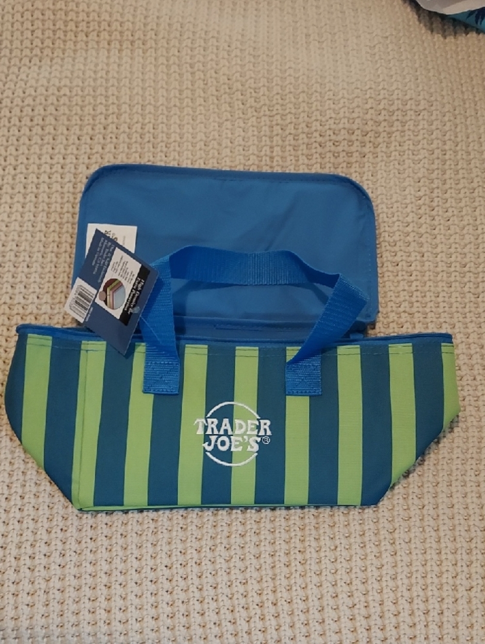 Trader Joe's Mini Insulated Tote Summer Collection In Green and Blue Stripes